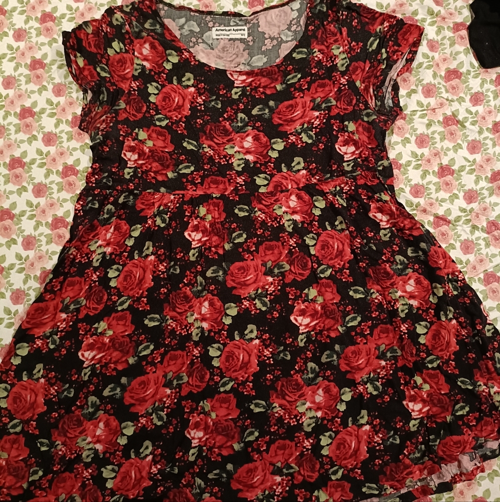 Vintage American apparel floral babydoll dress